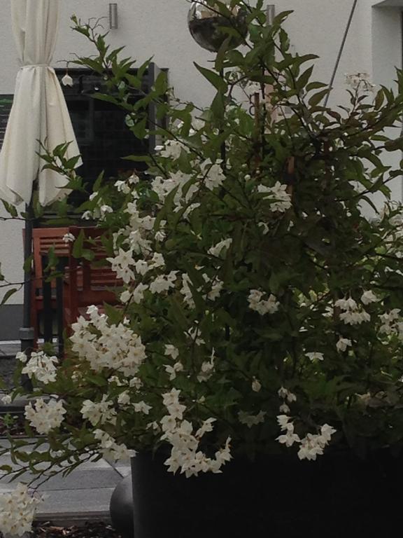 Wohnraum Hotel & Gaestehaus Gusterath ภายนอก รูปภาพ